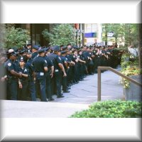 Load of new york cops